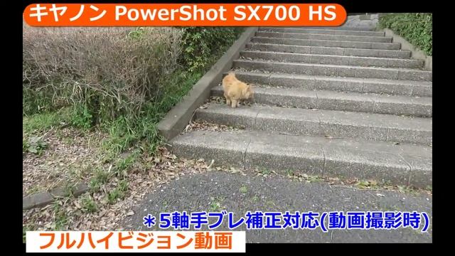 キヤノン PowerShot SX700 HS(カメラのキタムラ動画_Canon) смотреть онлайн
