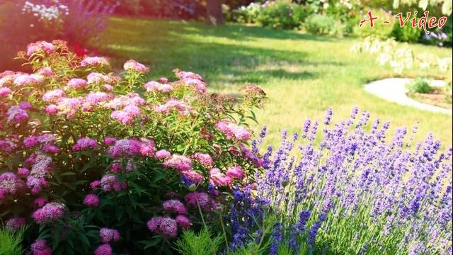 Оригинальные идеи для озеленения сада / Original ideas for landscaping a garden смотреть онлайн