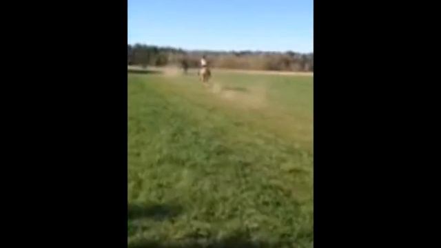 BFF- style Derby Day смотреть онлайн