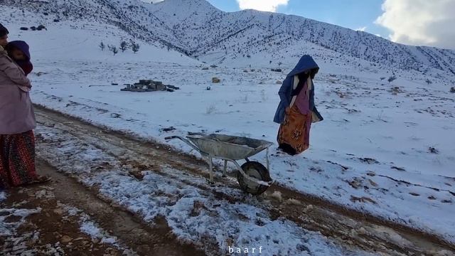 Betrayal in the Snow: Zelfa's Night of Solitude and Resilience ❄️🌙❤️" смотреть онлайн