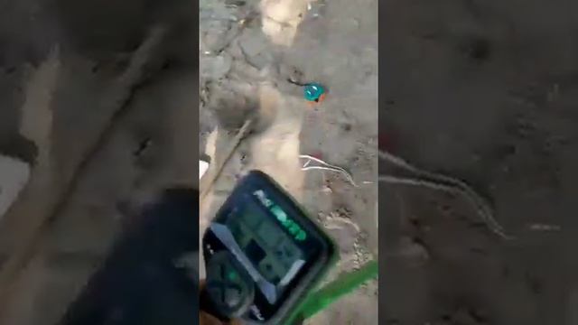 Midi Hoard Beach Testing смотреть онлайн