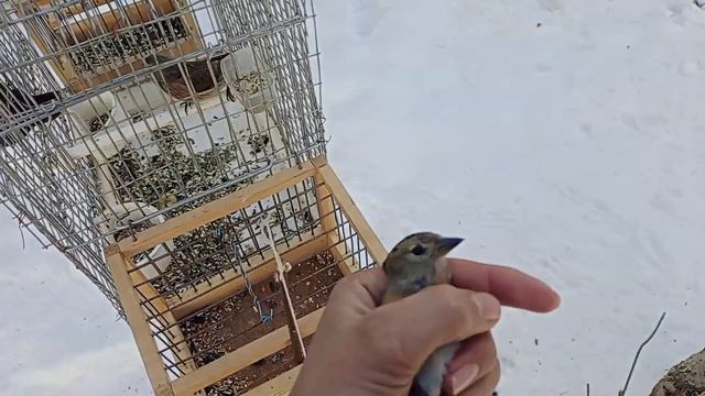 ov jarayoni repl ovi karalok ovi git gite смотреть онлайн