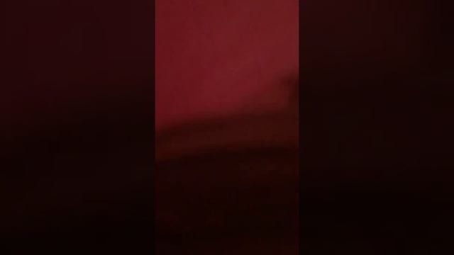 Spooky ball night смотреть онлайн