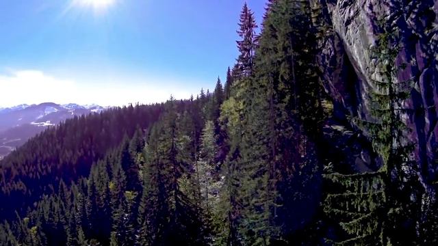 Relaxing music: flute, nature sounds, birds, nature footage and soothing music смотреть онлайн