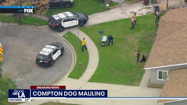 Dogs mauls man to death in Compton смотреть онлайн