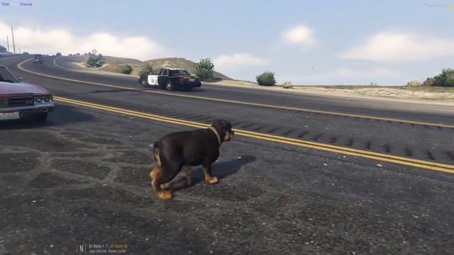 Code Zero Cops #15 - Jesus Jumper! (My Run) смотреть онлайн
