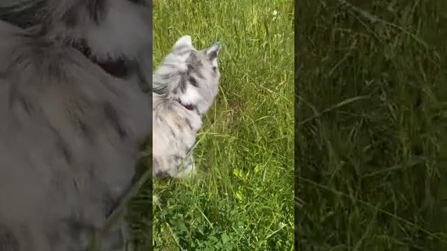 Просто красивый Вакай и природа смотреть онлайн