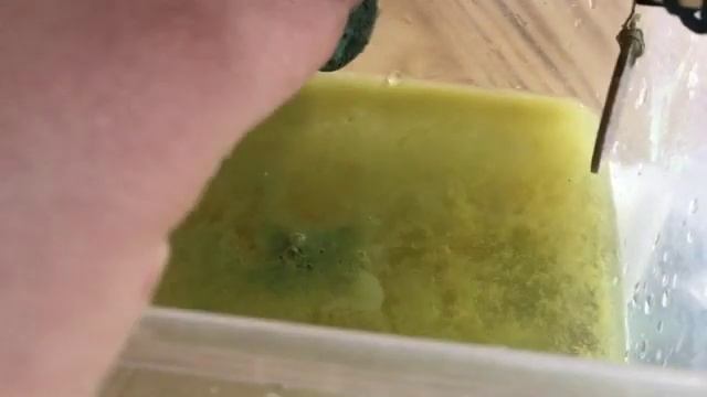 Чистка медных монет с помощь электролиза. смотреть онлайн