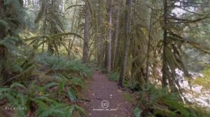 АЛИБЕК АСАД | РУКЪЯ ДЛЯ ТЕХ КТО ХОЧЕТ ИЗЛЕЧИТЬСЯ.