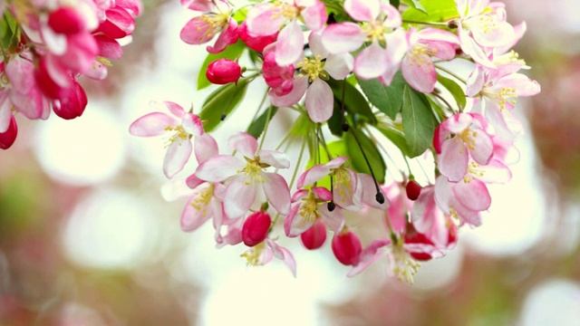 Во имя жизни на Земле! О последних событиях на планете