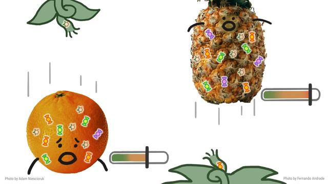 Why Some Fruits Won’t Ripen On Your Counter смотреть онлайн