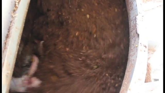 KIYAMA COMPOSTER смотреть онлайн