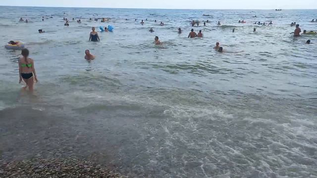 22.08.2023 .коротенький эфир с моря смотреть онлайн
