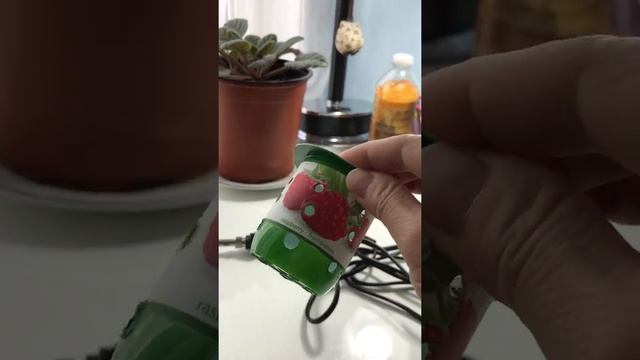 How to DIY a hydroponic system without spending money смотреть онлайн