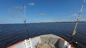 Рыбалка | Троллинг | Новая Ладога | Spinningline SL470 |