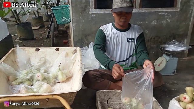 MAKAN JAMBU DI KEBUN JAMBU PAK TIUSS RASA NYA MANIS BANGET KAYAK JANJI MANTAN!!! смотреть онлайн
