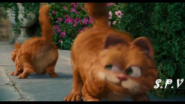 Двигай задом. танцульки