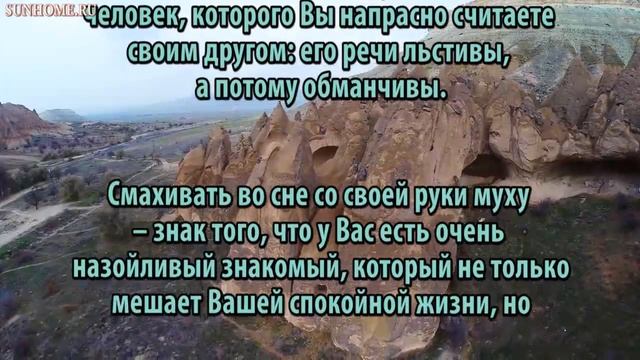 К чему снится Муха сонник, толкование сна смотреть онлайн