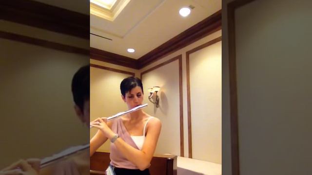 Nina Perlove at NFA practicing on a Brio flute смотреть онлайн