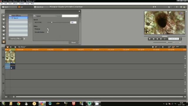 How To Make a Reverse Motion Effect - Pinnacle Studio 15 Ultimate Collection HD смотреть онлайн