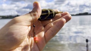 Рыбалка на ФЛЭТ Фидер | Ловля КАРАСЯ на ФЛЭТ ФИДЕР