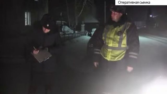 На Алтае задержали мужчин, которые незаконно отстреливали лосей