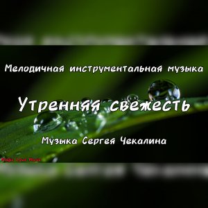 Утренняя свежесть. Мелодичная инструментальная музыка. Музыка Сергея Чекалина.
