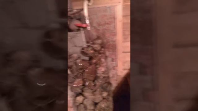 Затирка керамической плитки смотреть онлайн