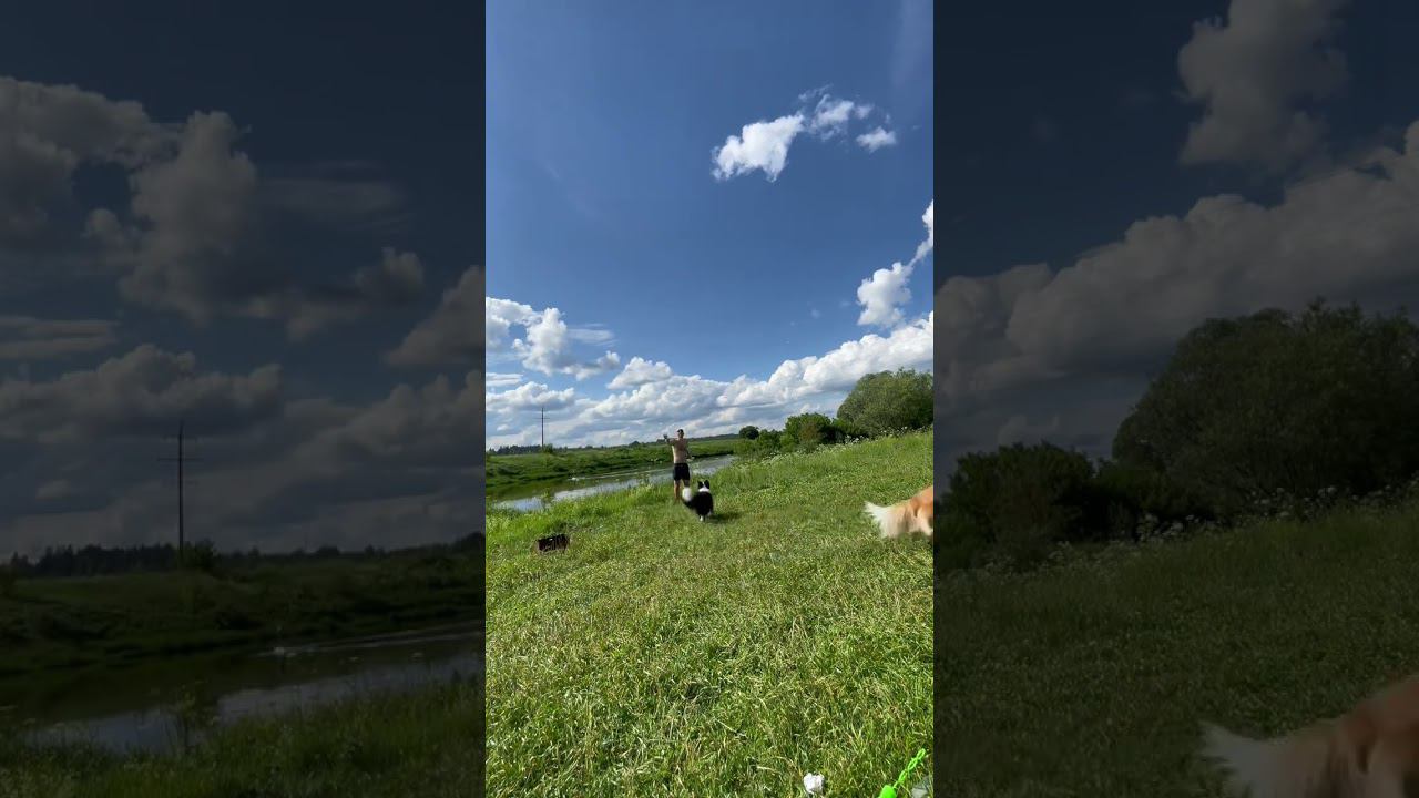 Отмечали ДР2)