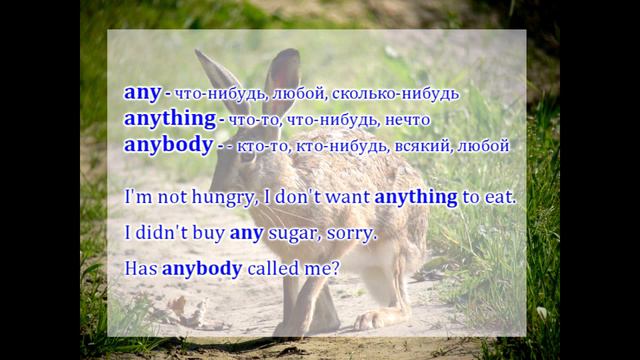 Some, something, somebody. Any, anything, anybody. смотреть онлайн