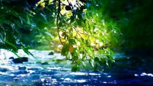 Разлилась речка быстрая