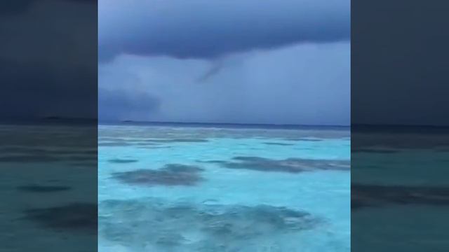 Plumeria Maldives смотреть онлайн