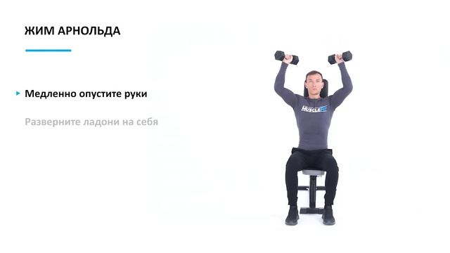 Жим Арнольда сидя. Техника выполнения упражнения смотреть онлайн
