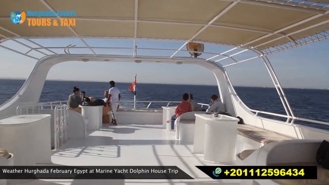 Dolphin House Snorkeling Day Tour from Soma bay | Watching & Swimming смотреть онлайн