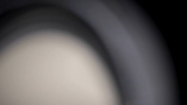 Canton Reference SUB 50 K смотреть онлайн
