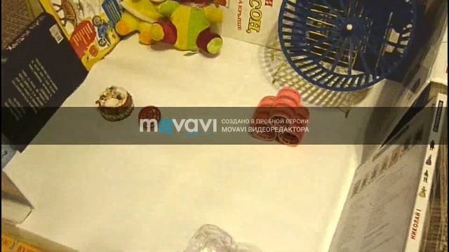 игровая площадка для хомяка/своими руками/джесси и джерри смотреть онлайн