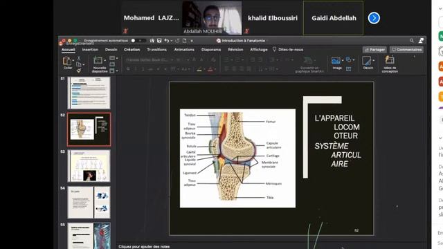 Visioconférence sur l'Anatomie смотреть онлайн