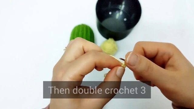 How To Crochet Cactus Part 2 L Tutorial Amigurumi Cactus