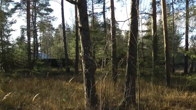 Продам земельный участок в п. Дубки - сосны и газ к вашим услугам смотреть онлайн