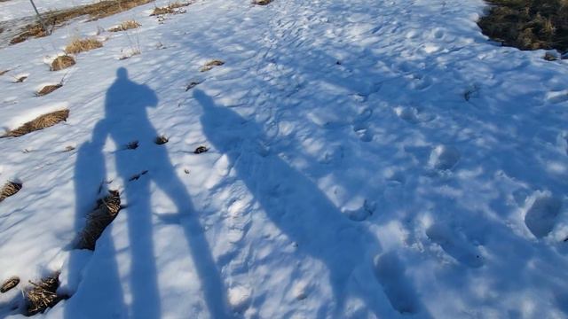 Поехали на прогулку всей бандой. смотреть онлайн