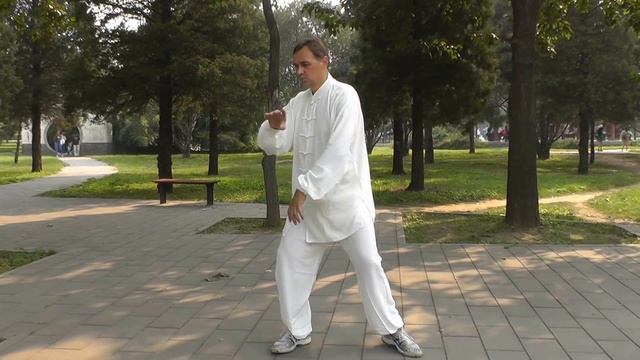 Тайцзицюань Цигун Ушу Чэнь тайцзи  Chen style taiji hunyuan wushu tai chi qigong
