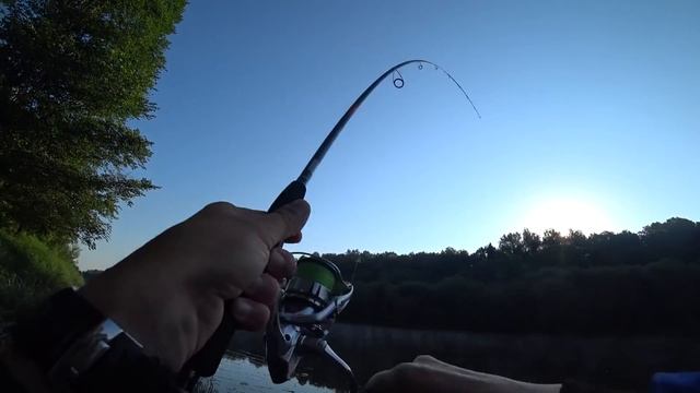 Спиннинг NARVAL ARGUMENT - ОБЗОР НОВИНКИ 2020