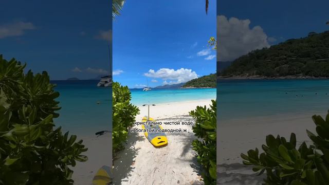 Сейшельские острова смотреть онлайн
