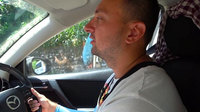 КАНДИ НЕ ПЕРЕСТАЁТ УДИВЛЯТЬ | Ботанический сад, Храм Зуба Будды, Амбулувава | ВЛОГ #03 смотреть онлайн