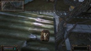 Тайники Старожила на Дикой Территории. ОП-2.1.