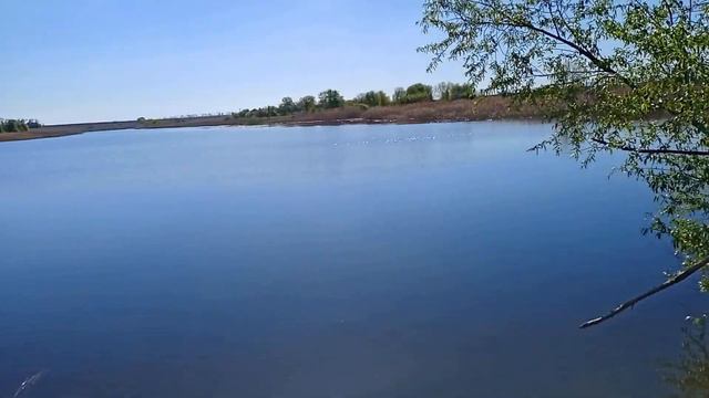 РЫБАЛКА НА КАРАСЯ!!!ЛОВЛЮ РЫБУ НА ЗАКИДУШКИ!!! смотреть онлайн