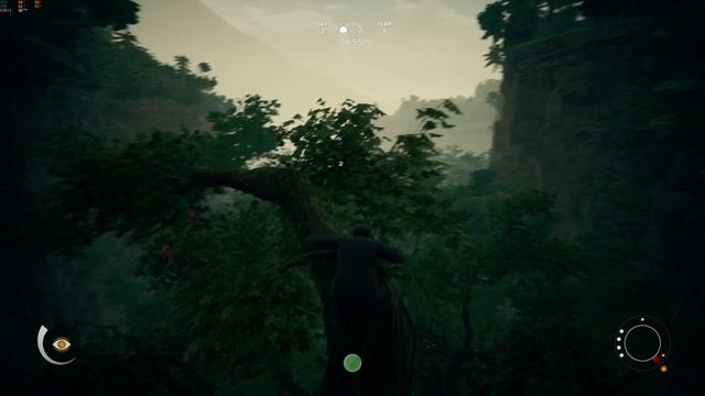 Ancestors: The Humankind Odyssey - Q9500 + GTX 750Ti + 8GB RAM - FULL HD смотреть онлайн