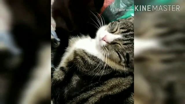 Утренний массаж.