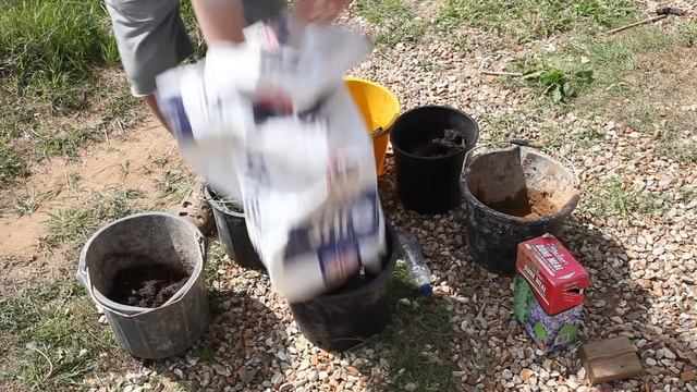 How to grow luscious lilies in an Organic Pool смотреть онлайн