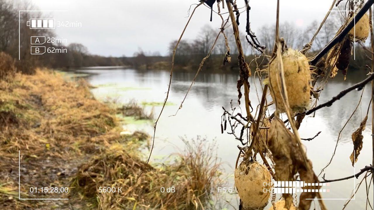 Хороший спиннинг ловит с первого заброса? смотреть онлайн
